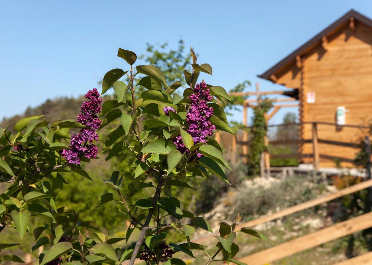 Hotel Pian Del Mund Borgomale Zewnętrze zdjęcie